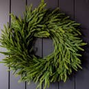 Faux Norfolk Pine Christmas Wreath - 24"