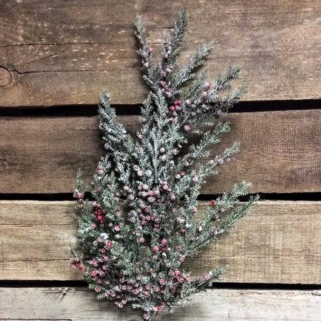 Frosted Cedar & Red Berries Spray