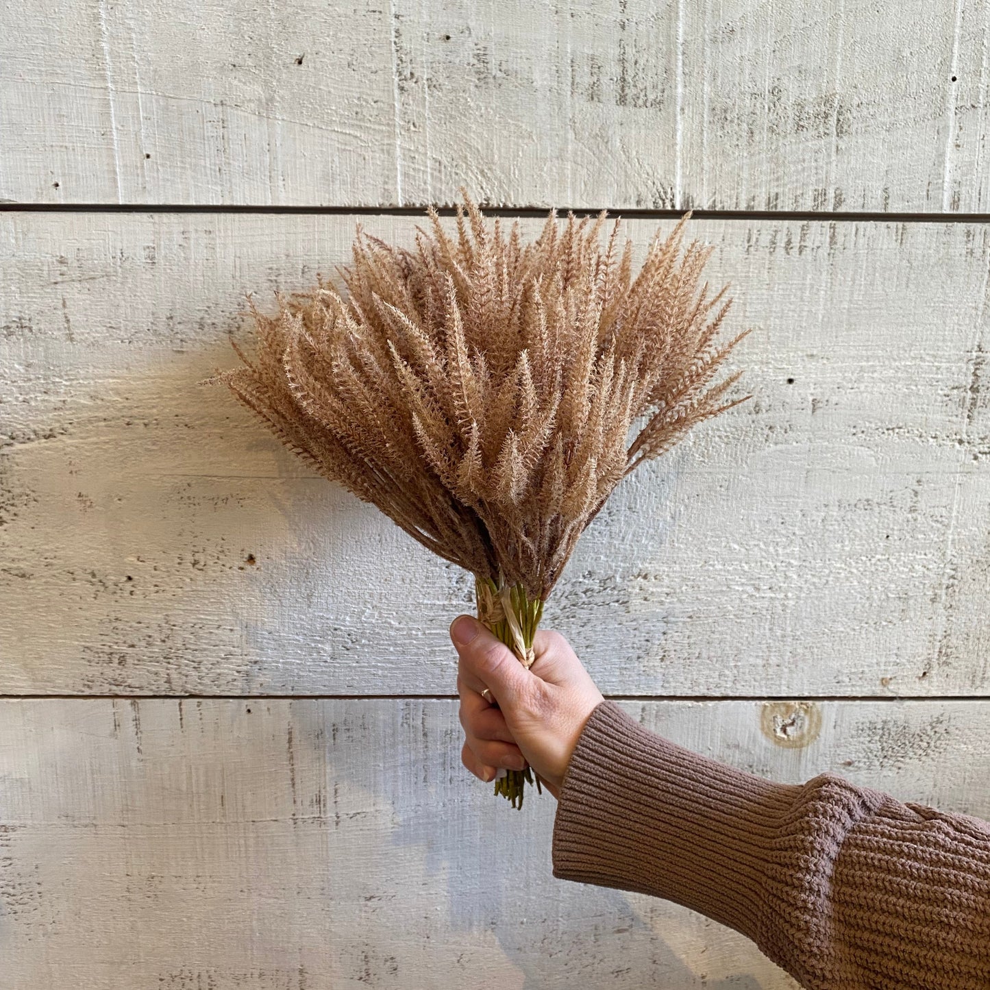 Faux Mini Pampas Grass Bundle - Light Brown