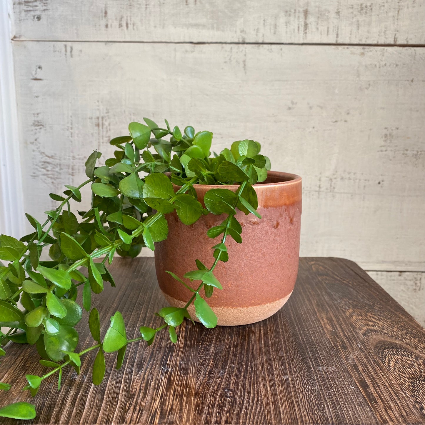 Ceramic Planter- Rust