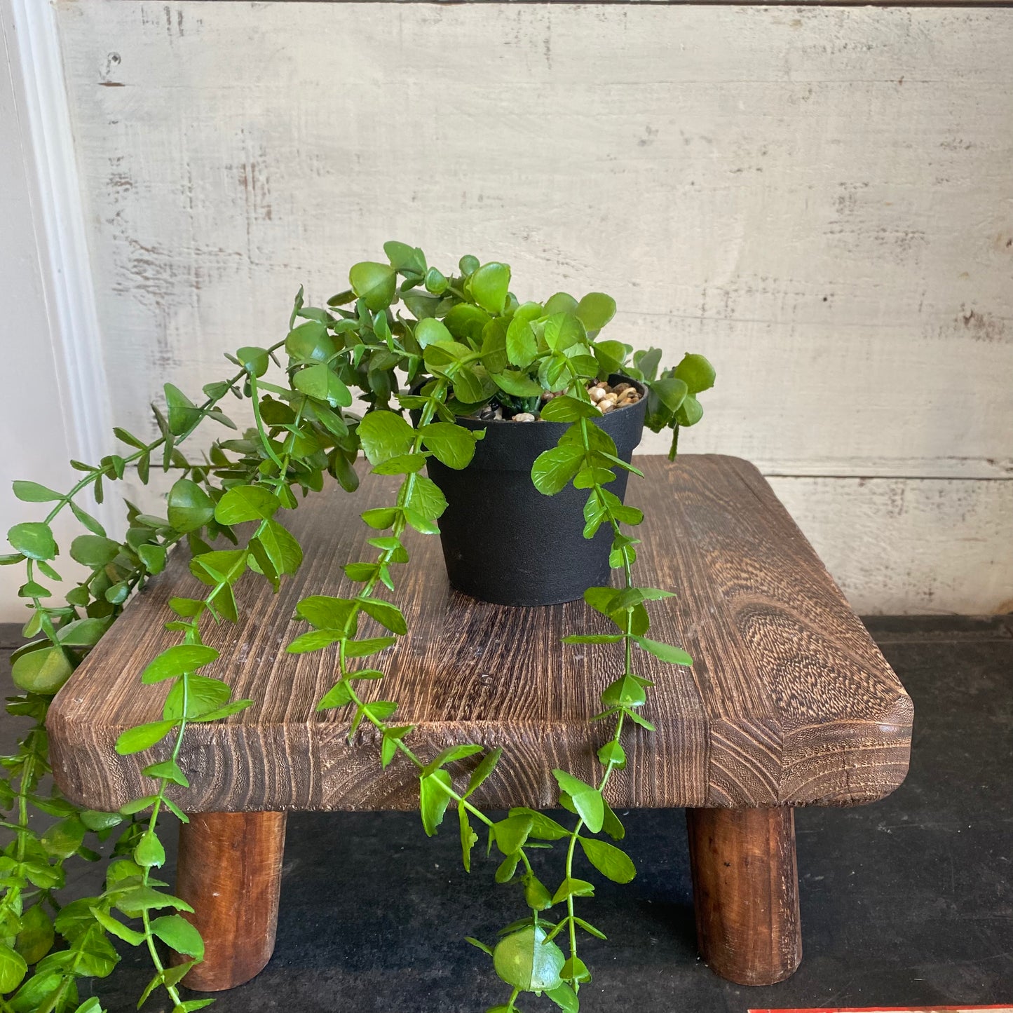 Faux Jade Plant w/ Pot