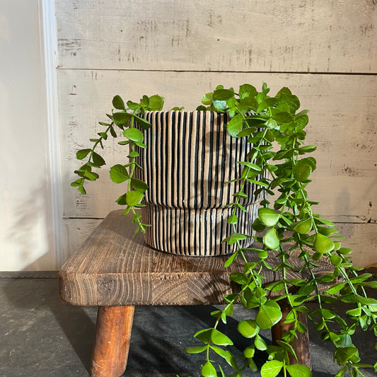 Ribbed Cement Planter