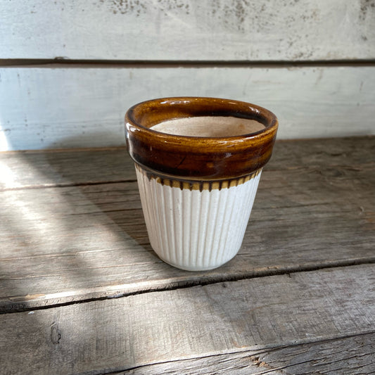 Vintage White Pot W/Brown Rim