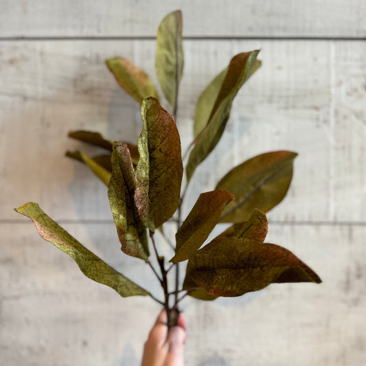 Faux Magnolia Leaf Branch