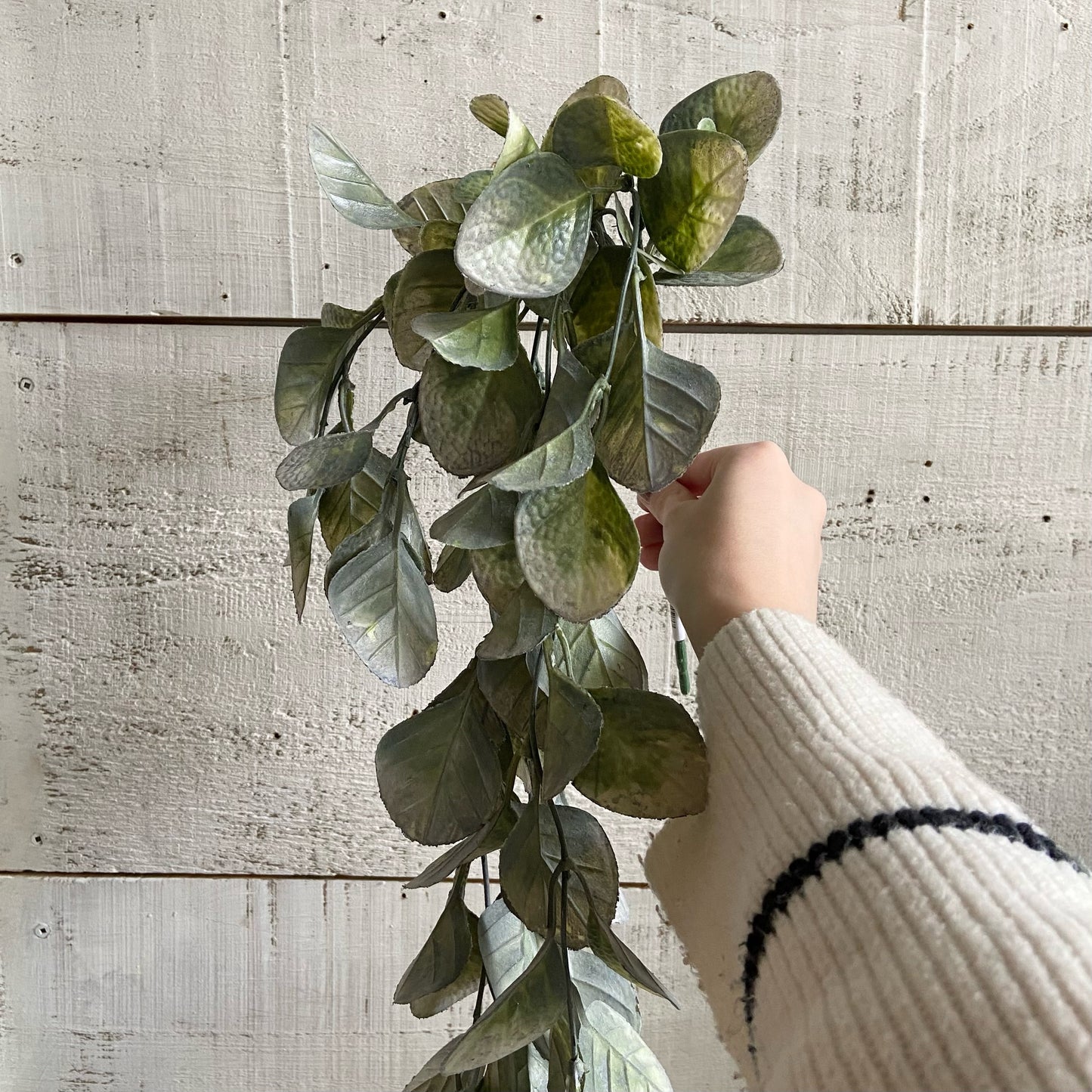 Faux Trailing Eucalyptus Vine