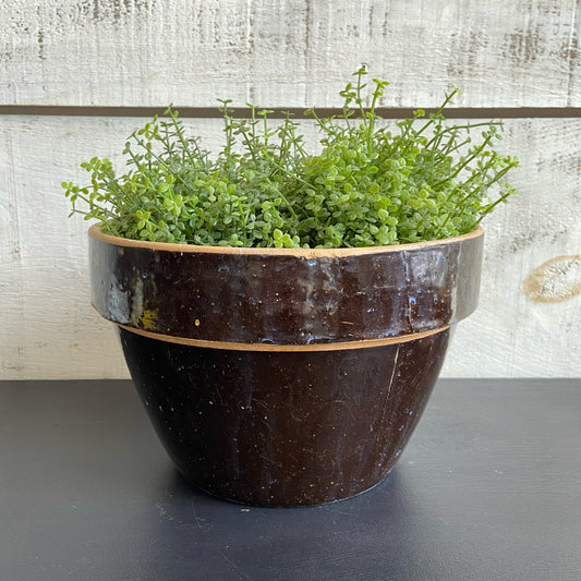 Vintage Ceramic Brown Planter