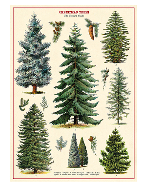 Poster - Christmas Trees