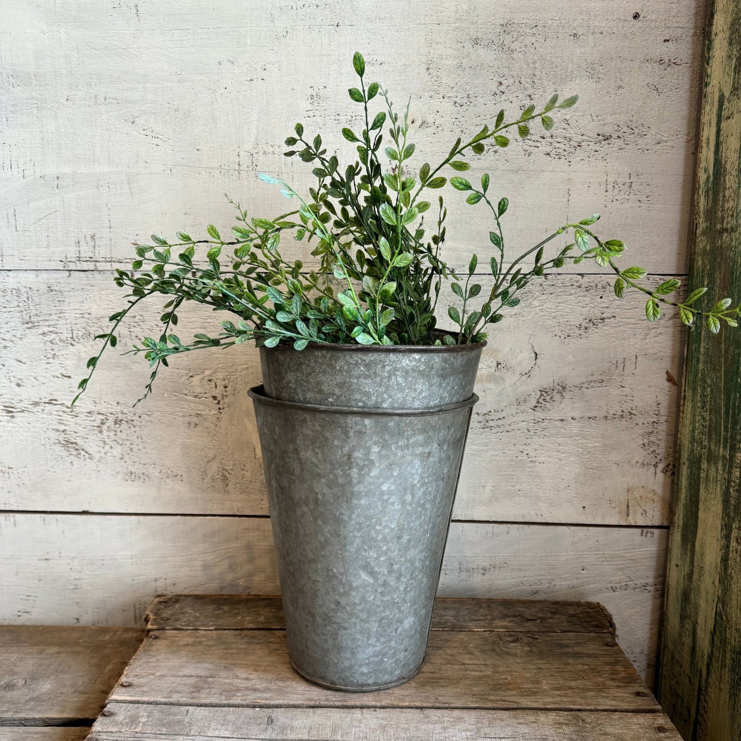 Galvanized Sap Bucket