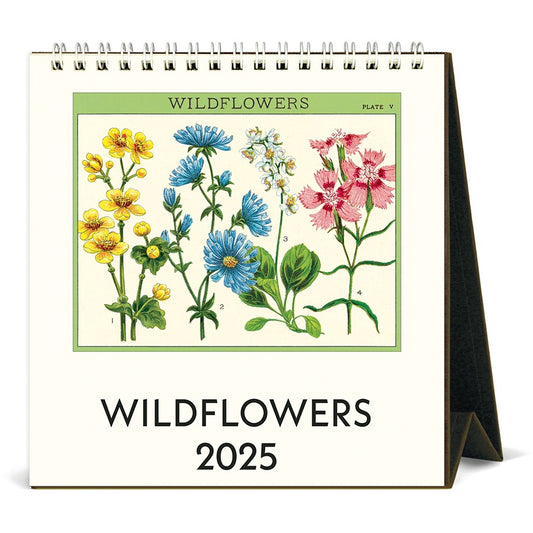 Wildflowers Desk Calendar - 2025