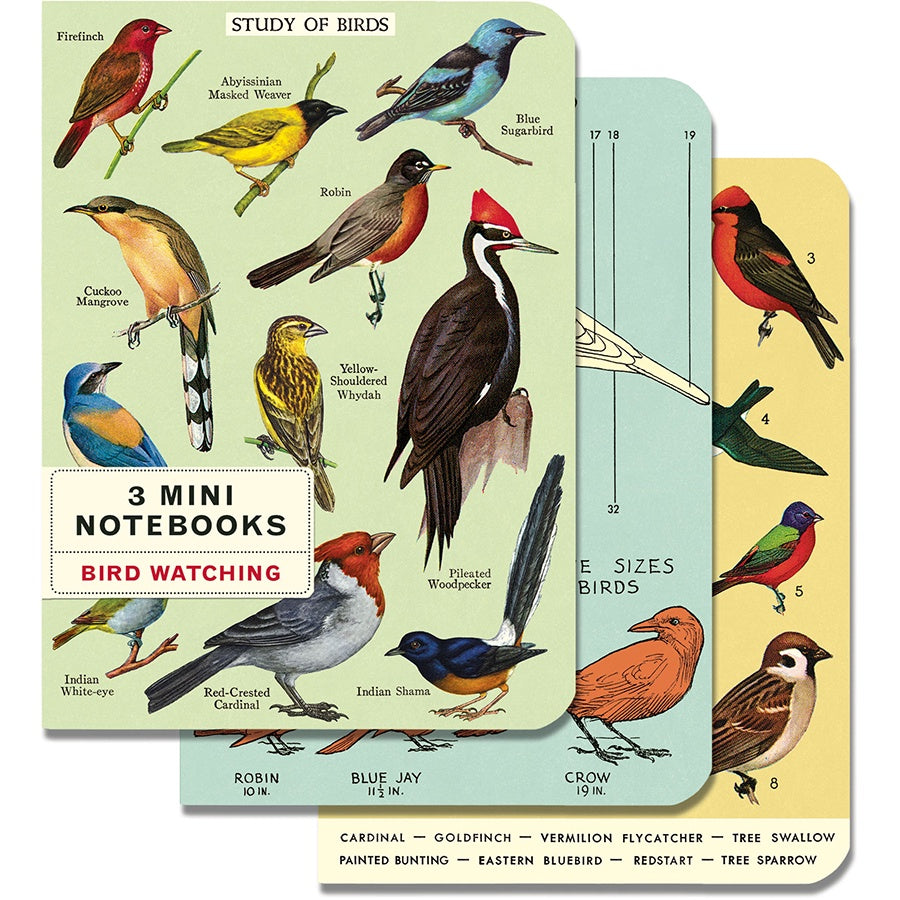 Mini Notebook - Bird Watching