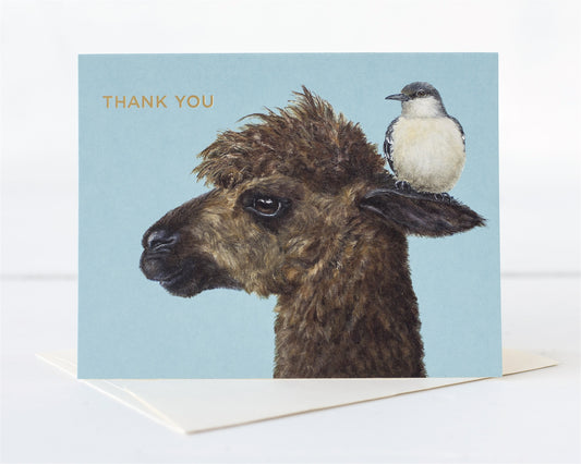 Card: Thank you Alpaca