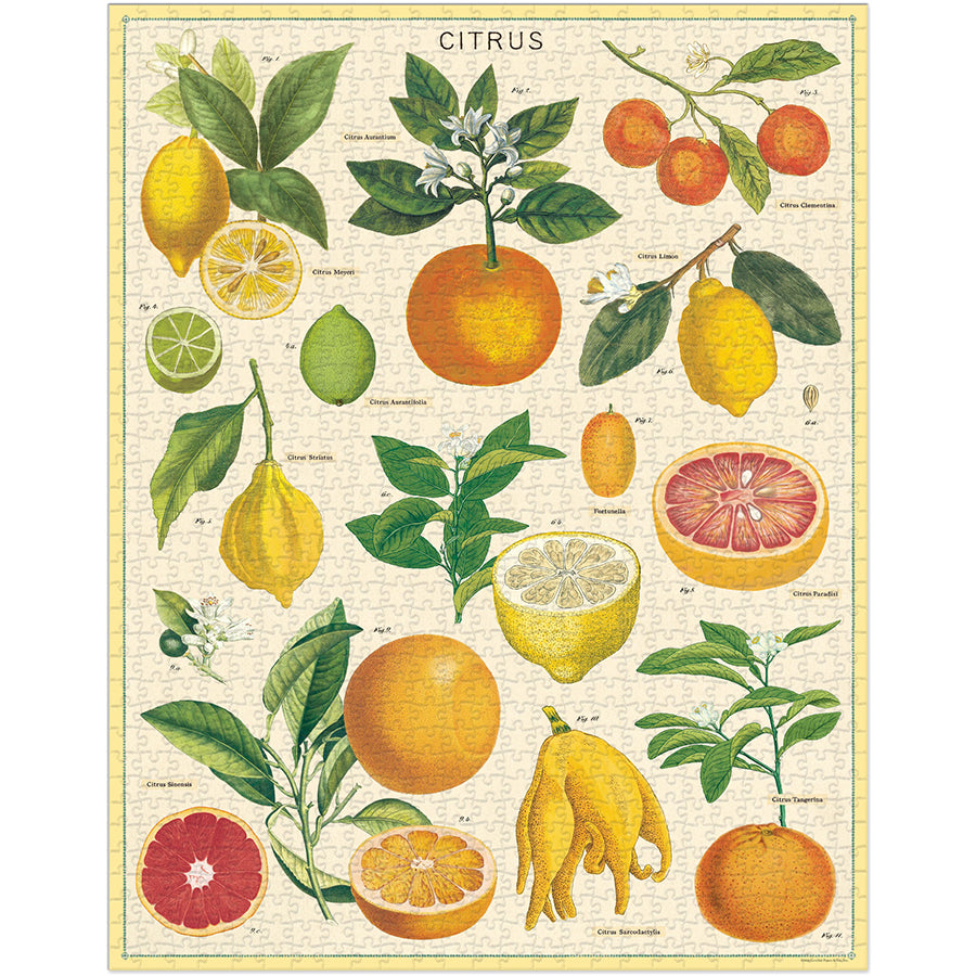 1,000 Piece Puzzle - Citrus