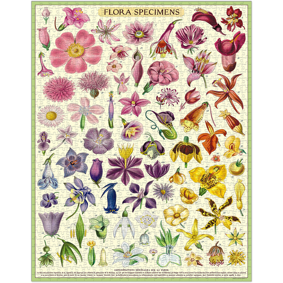 1,000 Piece Puzzle - Flora Specimens