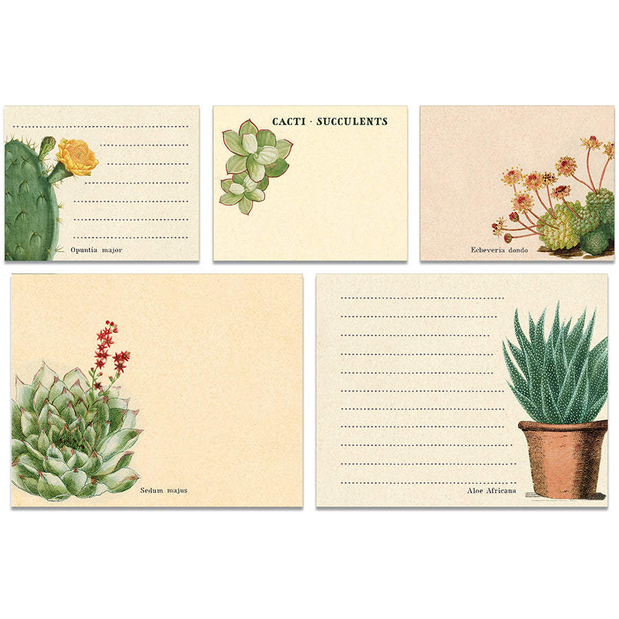 Sticky Notes - Cacti & Succulents