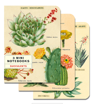 Mini Notebook - Cacti + Succulents